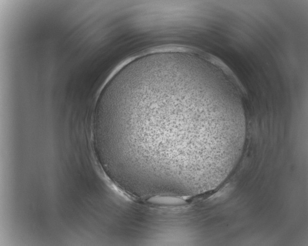 X0000063460860200602031832