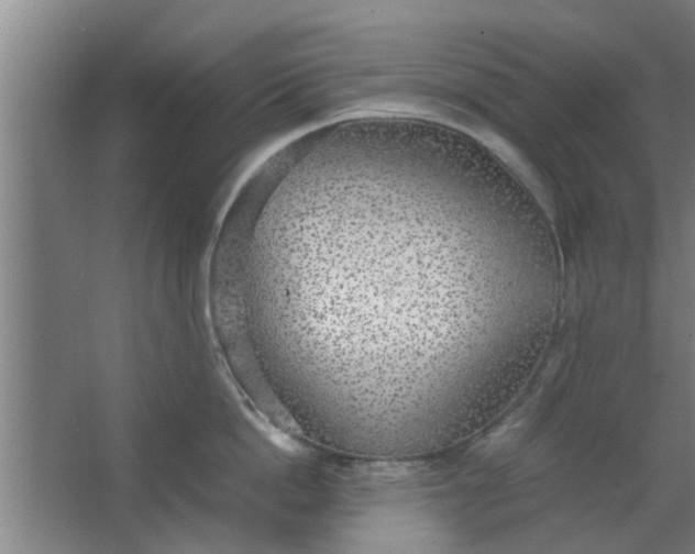 X0000063460862200602031832