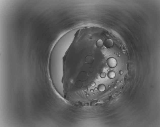 X0000063460863200602031832