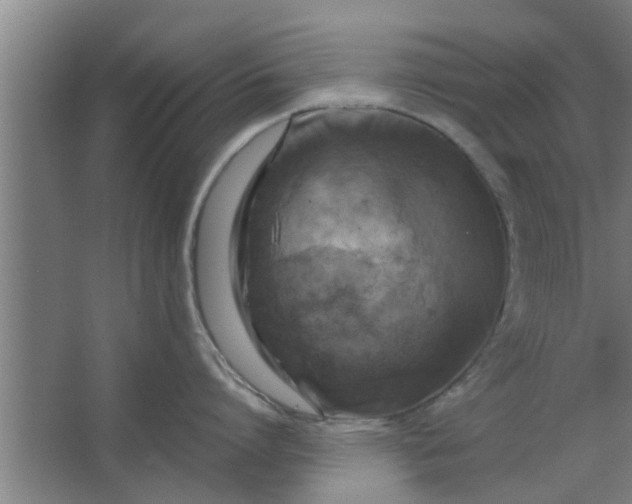 X0000063460864200602031832