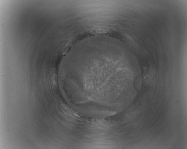 X0000063460866200602031831