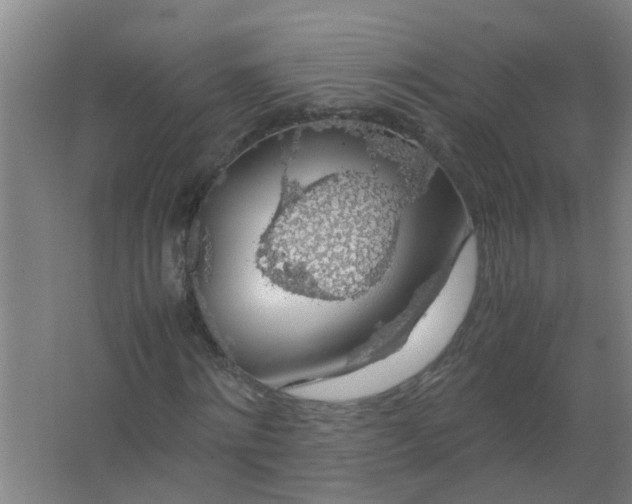 X0000063460868200602031831