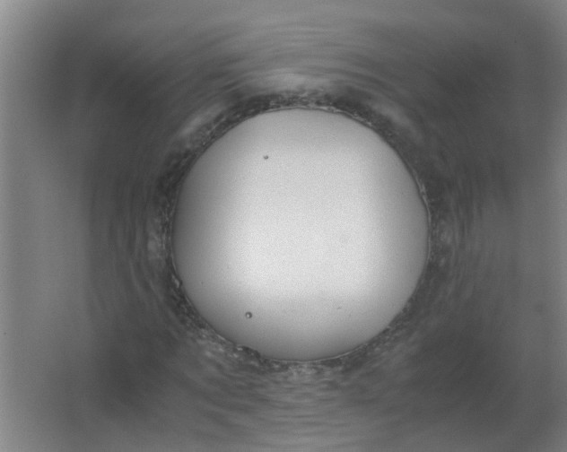 X0000063460869200602031831