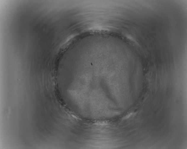 X0000063460870200602031831