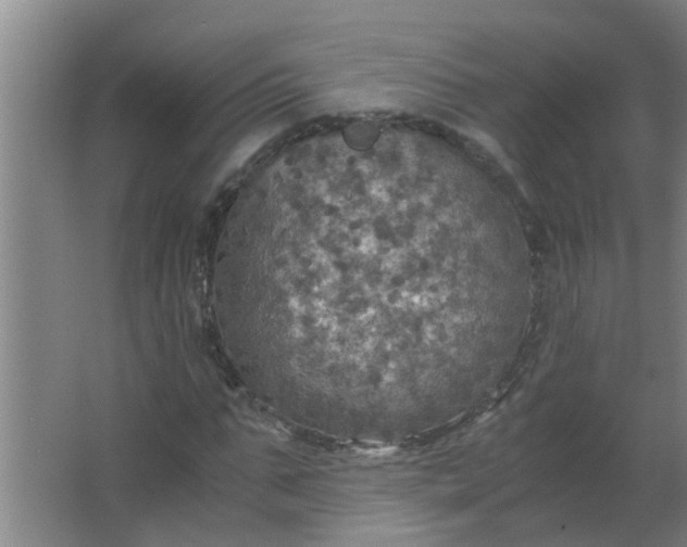 X0000063460871200602031831