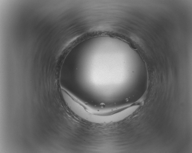 X0000063460872200602031831