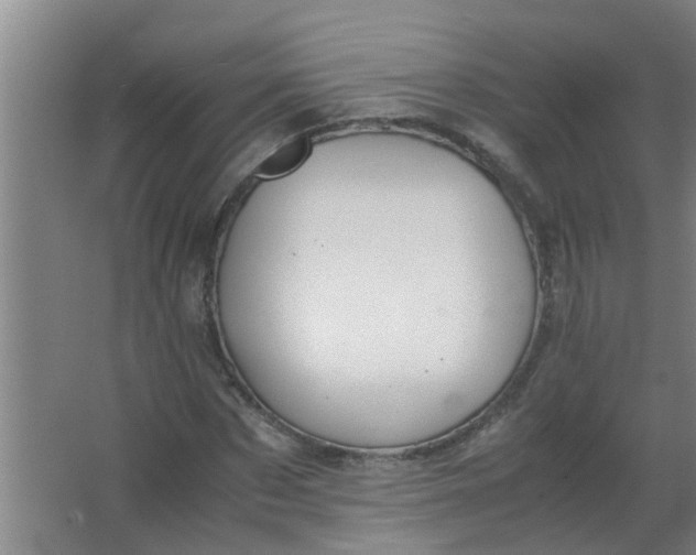 X0000063460873200602031831