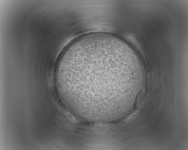 X0000063460875200602031831