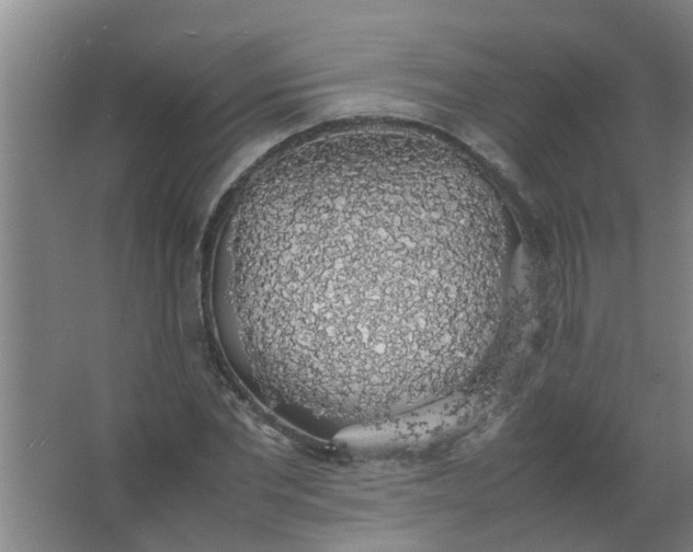 X0000063460877200602031831