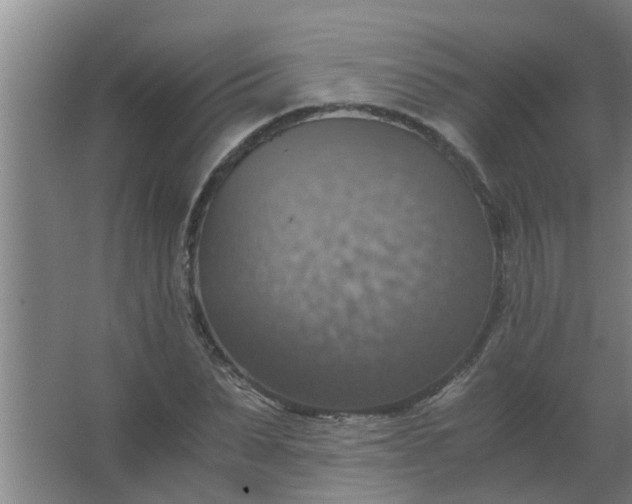 X0000063460879200602031831