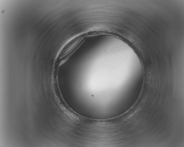 X0000063460880200602031831