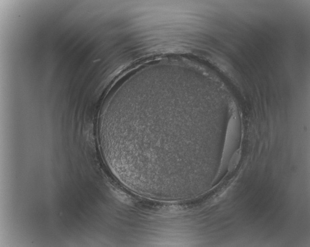 X0000063460881200602031831