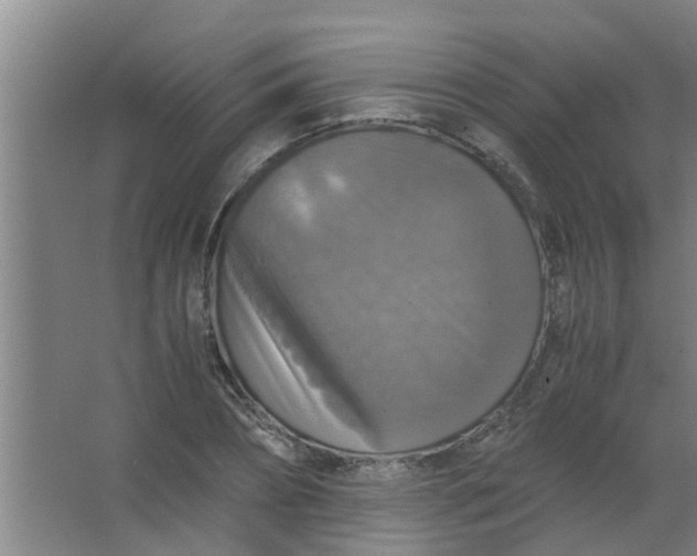 X0000063460882200602031831