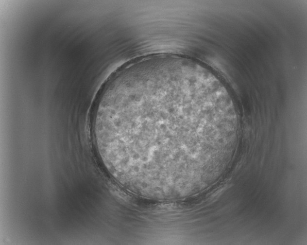 X0000063460883200602031831