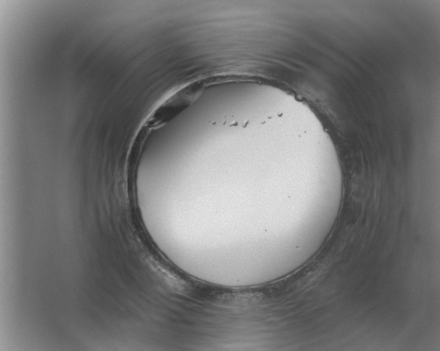 X0000063460884200602031831