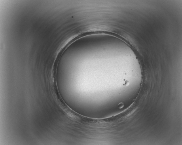 X0000063460885200602031831