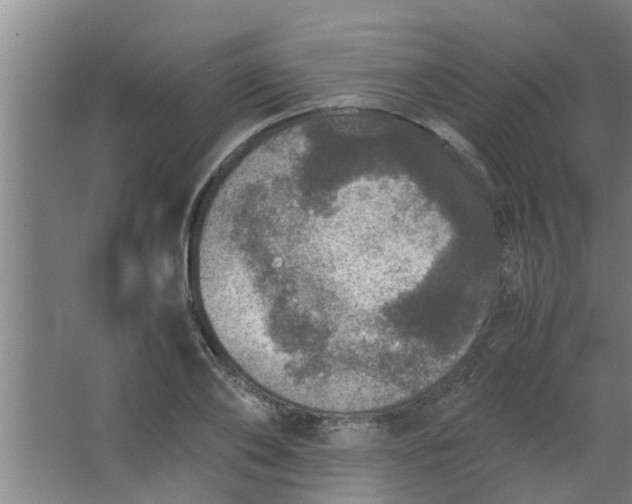 X0000063460886200602031831