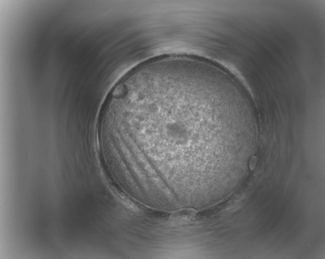 X0000063460887200602031831