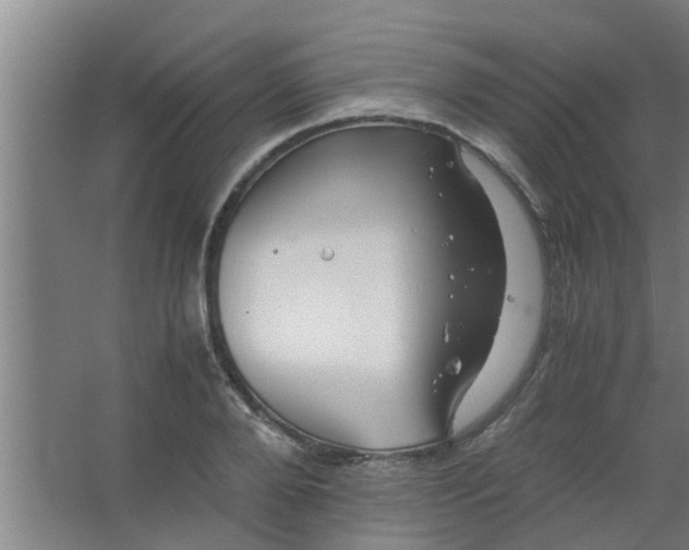 X0000063460888200602031831