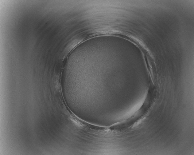 X0000063460889200602031831