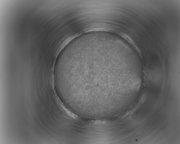 X0000063460890200602031831