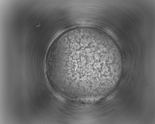 X0000063460891200602031831