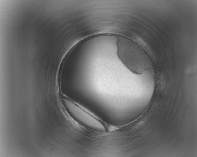 X0000063460892200602031831