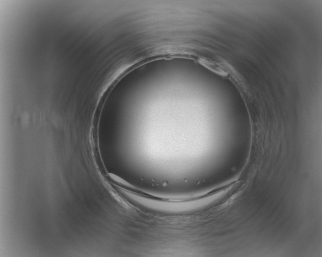 X0000063460893200602031831