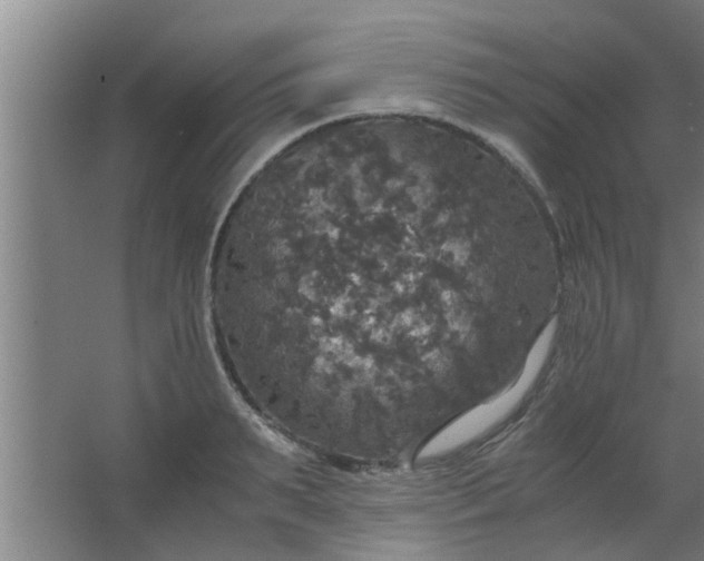 X0000063460895200602031831