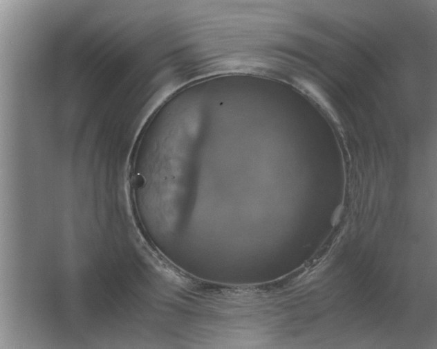 X0000063460899200602031831