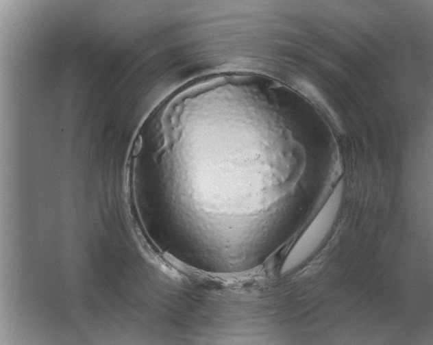 X0000063460900200602031831