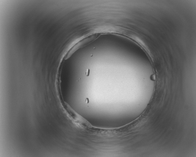 X0000063460901200602031831