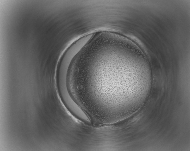 X0000063460902200602031831