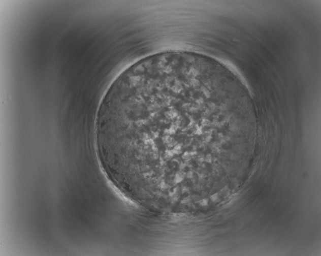 X0000063460903200602031831