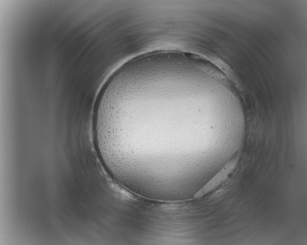 X0000063460904200602031831