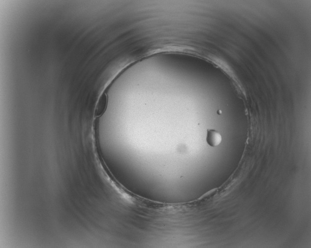 X0000063460906200602031830