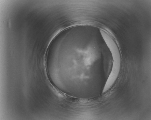 X0000063460907200602031830