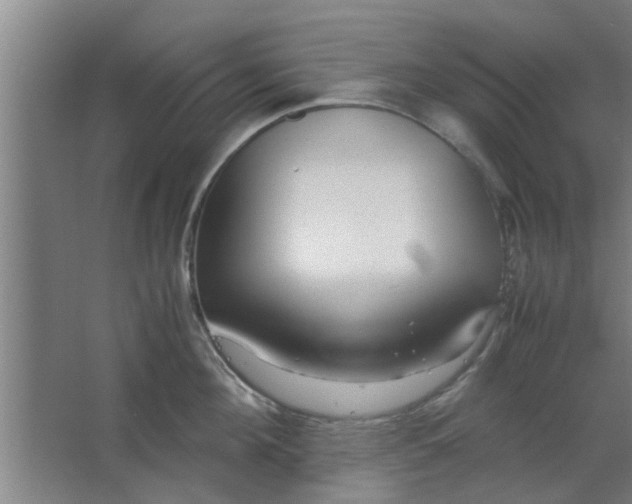 X0000063460908200602031830