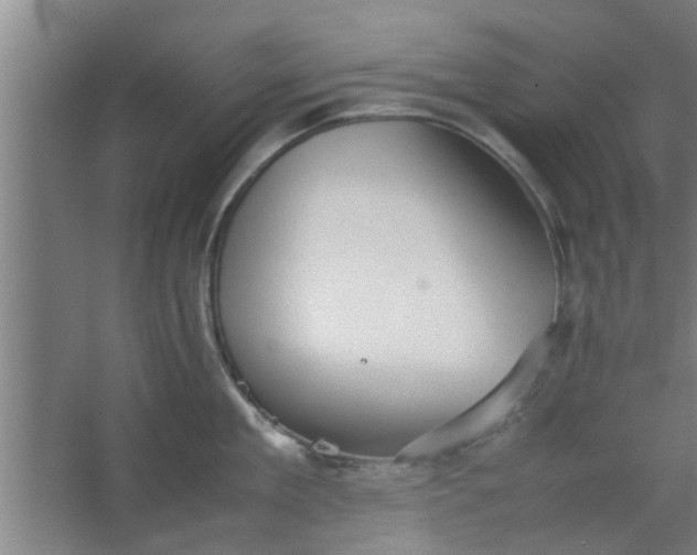 X0000063460909200602031830