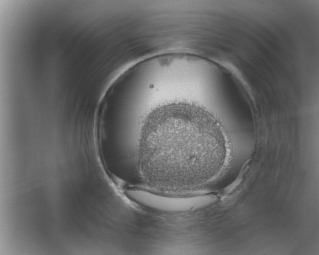 X0000063460910200602031830