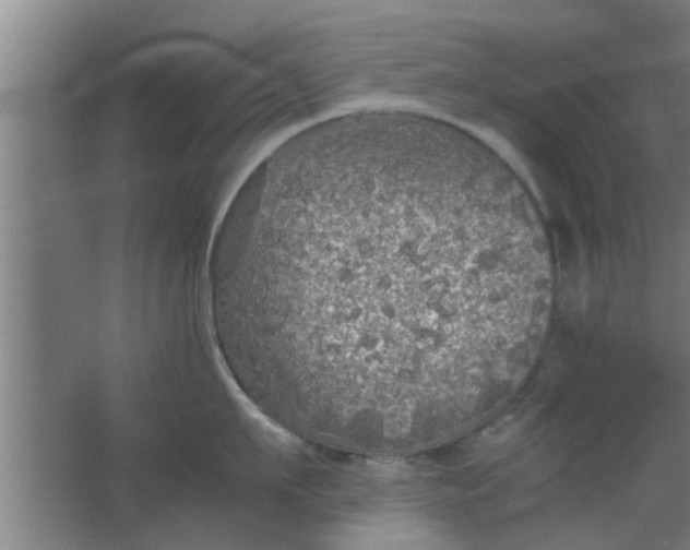 X0000063460911200602031830