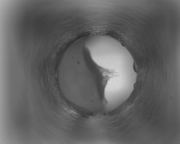 X0000063460913200602031830