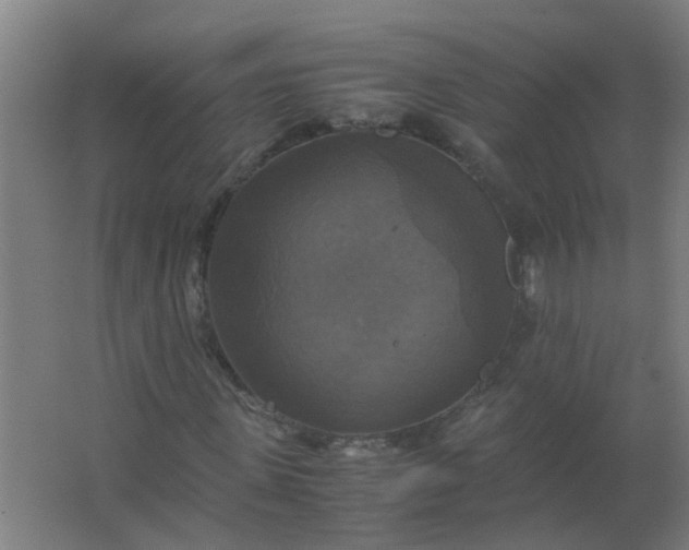 X0000063460915200602031830