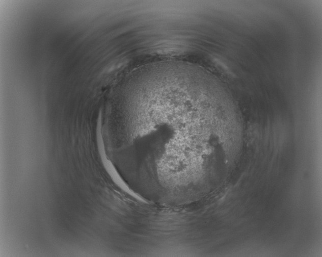 X0000063460917200602031830