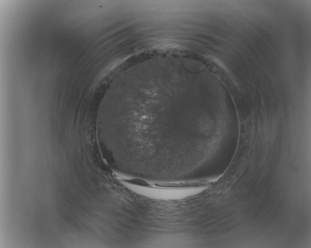 X0000063460919200602031830