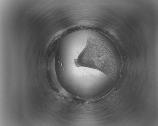 X0000063460920200602031830