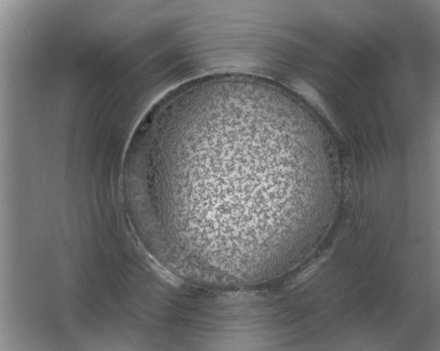 X0000063460924200602031830