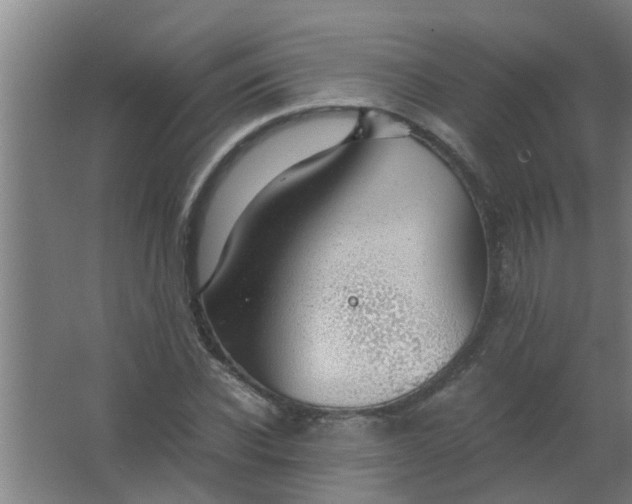 X0000063460926200602031830