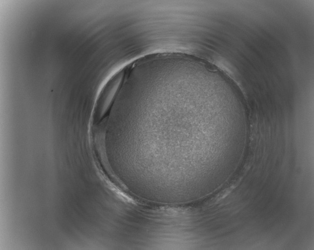 X0000063460928200602031830