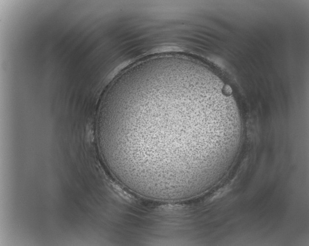 X0000063460929200602031830